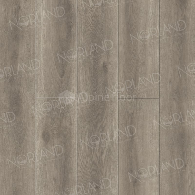 SPC Ламинат "Norland" Templet (1220*196*8 мм) — купить в Армавире