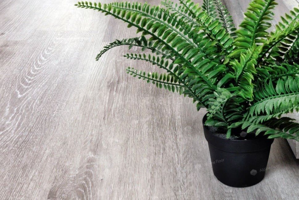 Виниловый ламинат "Alpine Floor" Classic Light MC Ясень Серый (1220*183*3,5 мм) — купить в Армавире